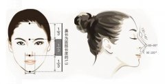 那些年传来传去的隆鼻价格